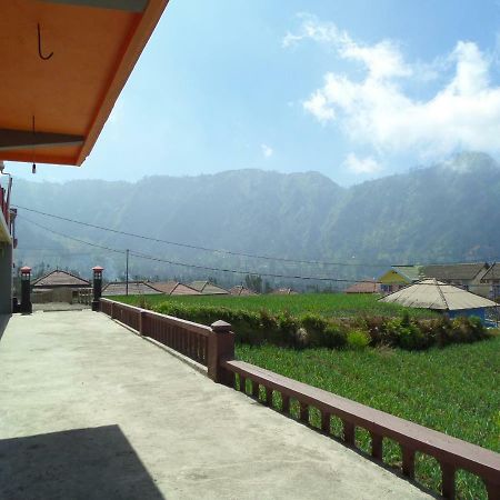 Tengger Indah Homestay Bromo Eksteriør billede
