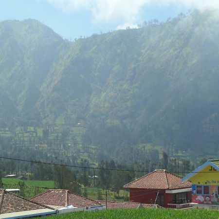 Tengger Indah Homestay Bromo Eksteriør billede