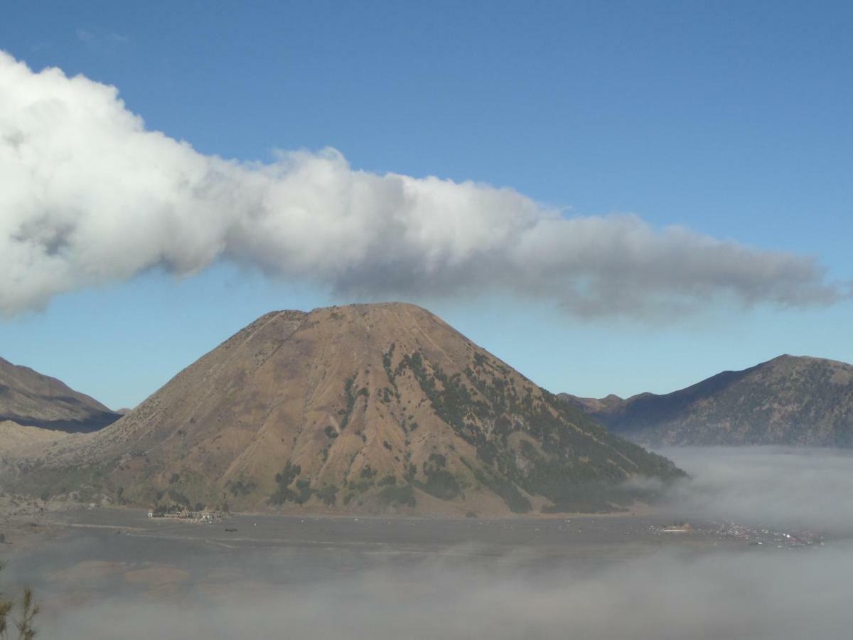 Tengger Indah Homestay Bromo Eksteriør billede