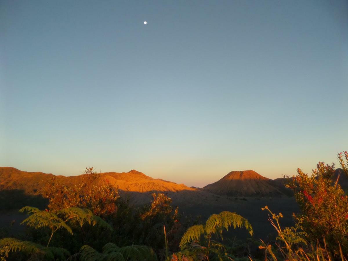 Tengger Indah Homestay Bromo Eksteriør billede